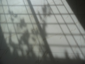 Shadow through window